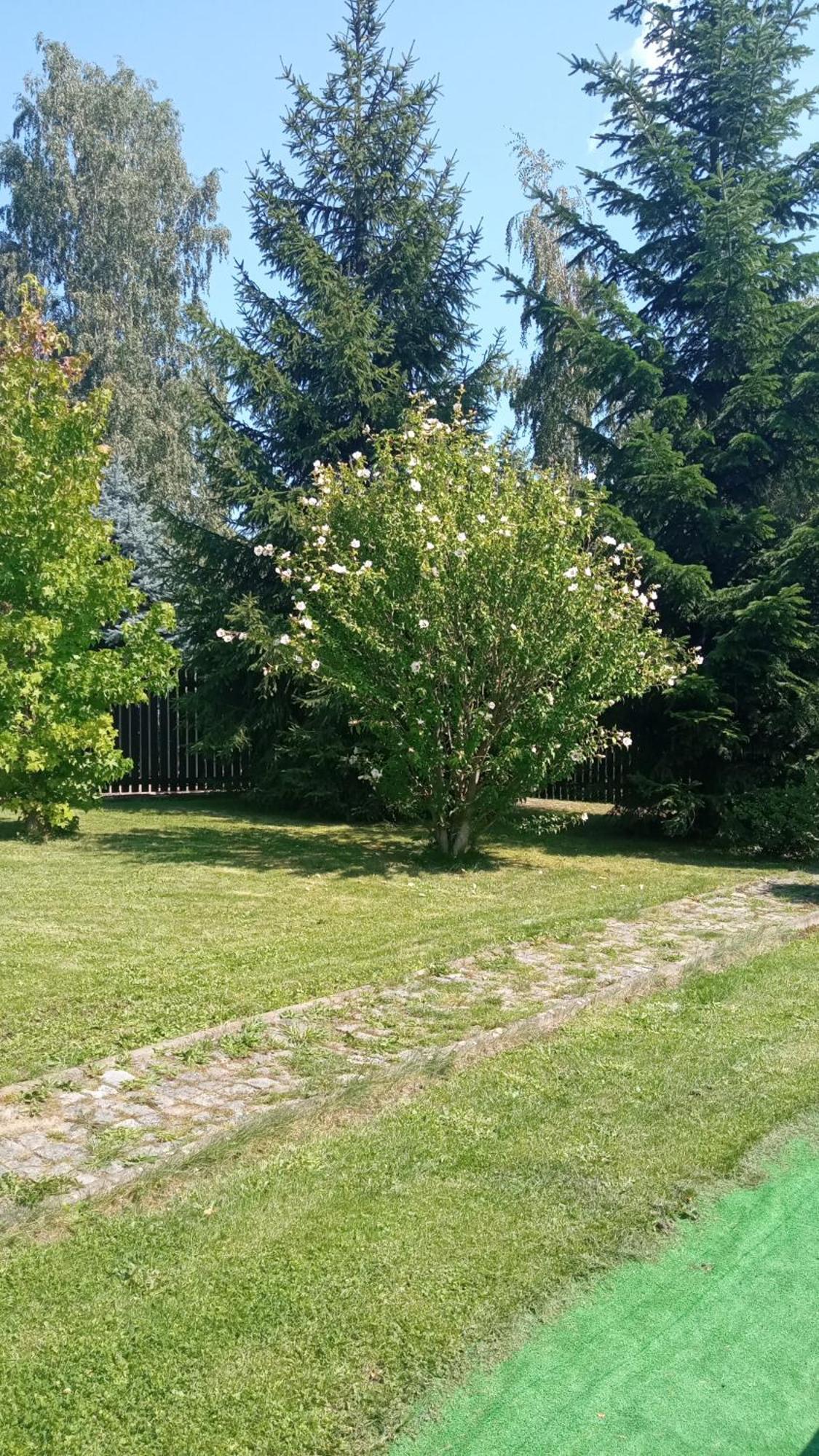Chata Lazne Evzenie Klasterec Nad Ohri Klásterec nad Ohrí Exterior foto